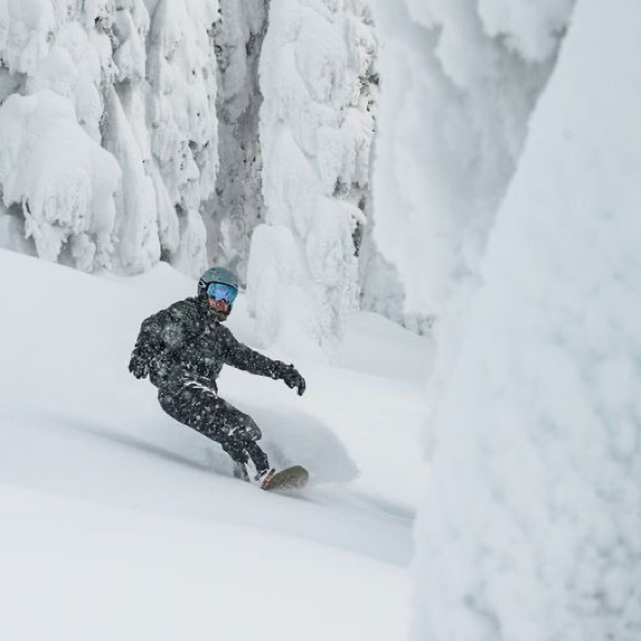 Meet your Posher, Neal - Picture 3 of 5